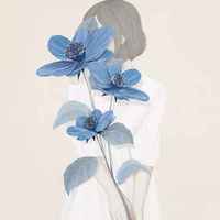 F98c01fad5506ef926577b442a09cfed80f1a717