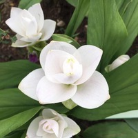 6992954cd4f4557eaa8213498a13822ac9cbe34c