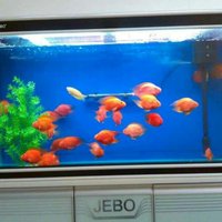 72d42a78e9d6db7581ef2c9f9bd73ca78562118d