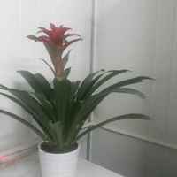 A06d6f08e06602befe7d330f66f7579b26ed2858