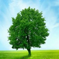 A25ea0a853d096bc7a990edf66270e292e5cc0ff