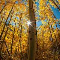 63467e1b1e22d5d77eb457d9b59dd5ec8e9eee65