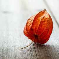 C49ad25ad409b92e417de3d802216543128eb90f