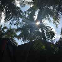 5429007feaac9818fe3b661a7d3cfbc767124879