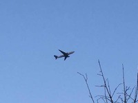 298d8722f4634362e57ce8881223175401f1626f