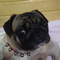 C1d67a15502da09a0c2cdd416d1d772b046dacf8