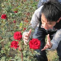 Dd3be4134bff72b823787335f06f74a46118f341