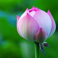 257a9524fea138fd496f137193925af248845c00