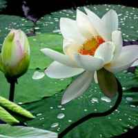 78b3fa5d01980c20f753ec29a3ca8e13af2ad003