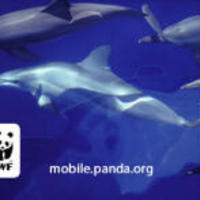 60b61f730be34065c32f04d0f9a7990606d4344d