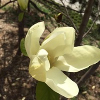 C802d024c274bafdd2b7087f2df71d6f2315d329