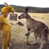 890d43af6225aa8298074d8b9426f7bbe03bcd2e