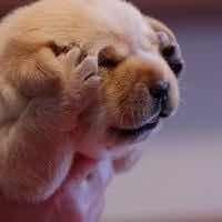 C478f7ff846d07a2ba2a3b8ccbb649ac864347fd