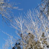 F07d293abf9d62fdfecd8879469aef7102a8f7b7