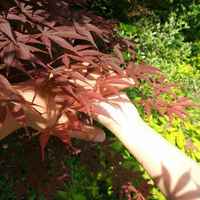 B2dc010972631a63125780bb120452a2a1119c90