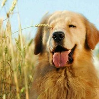 591bc50c421aa34239e9b3122b07984a46cd7343