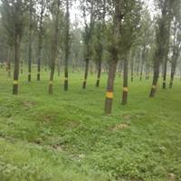 8f430148c92a92fdfe38c4fcab14a0e2d7f274d6