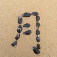 C0669c9dcdc824ed70d579e0c897684b15ee9af3