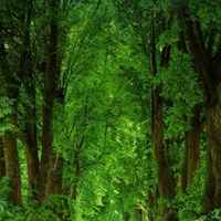 Aec8d5c17211b72dce0f27c93fe98ea081bcdf93