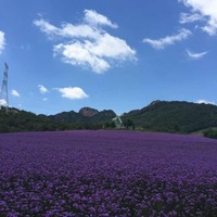 09c334390185806c0c4ea4321bc725f286e88426