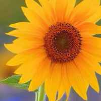 Aa1bdeb3222022aab9398f6755c76a1830b5864e