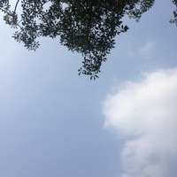 E38ab46f1a087574db4e90264e03c068e2b9894e