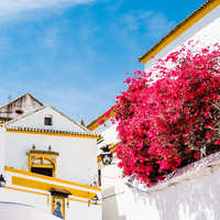 F93061e309db356f5614c680acb9ff8188e84740