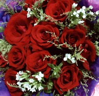 B0a302bc5207b8ff731bedff9586cc42f7d4f1fc