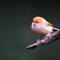 C31c5d0e8b5f32a87d63f37027d271875c4b64b6