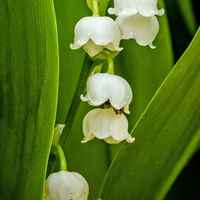 B6889a857f28969c908745f7c52f08f3ff2ac379