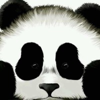 0dd7e03b37774c2503e1228c09ea4c7dedc9a0a1