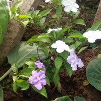 6afa487048f20de9af720f9f9c9fefda86ade0f0