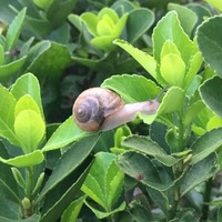 7959e82f6840b00ad785f876ad35fd103c984a98