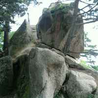 87f70f354277af4dc7cc2e035784e6ca568cf7a0