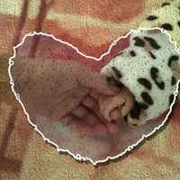 9118aec991c5e14c62f95aff4a966b1c93241439