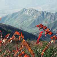 10de010fdb55c3764a8ac620e52cb253e8fad87d