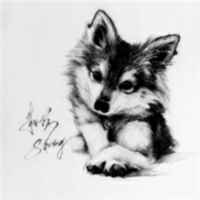 95274c2eb3ea88f11436e03877184d5a7c22a78f