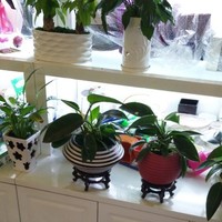 71fd62180b45e6cfbe01943c21bdd60b3a255f66