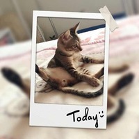 73a1cd46018291dd0a23423594c8b876223dc030