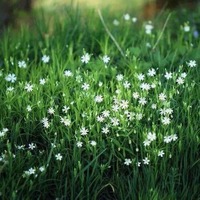 684455ceb116d26027583f74a24093b1a1b3b013