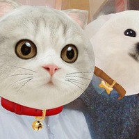 8e8876e55043c8aeb05c94c089dee679ed05462e