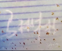 19954e9d3632cb38cde160e030013389ac96e64b