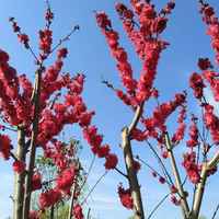 A3619e67bf3e41639fda7b4c77ade9f29cb9ab49