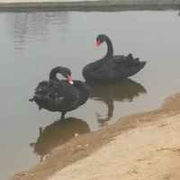 C0a2cadc07f6c2ecd7fd368a8502cbe198801eed