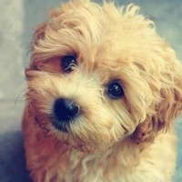 475c13e96d4ab5489f065aed79c8f816907f54b4