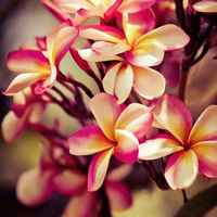 E5abcc9882425bc6cdf0a0b98533d0fb42cc7416