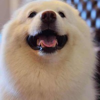 7341dbc8f3b291a329f24d16b028741dac281e0f