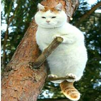 4b2ad0dd462d34fda8645c8b897b5a2b6c95c9f3