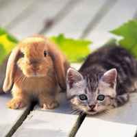 1283d3db3f46066b4b60421f3ab338fd2577e503