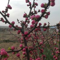 Bcf06fc8378b7e4a3fa9fd7d582d72d5c8ea2e3c